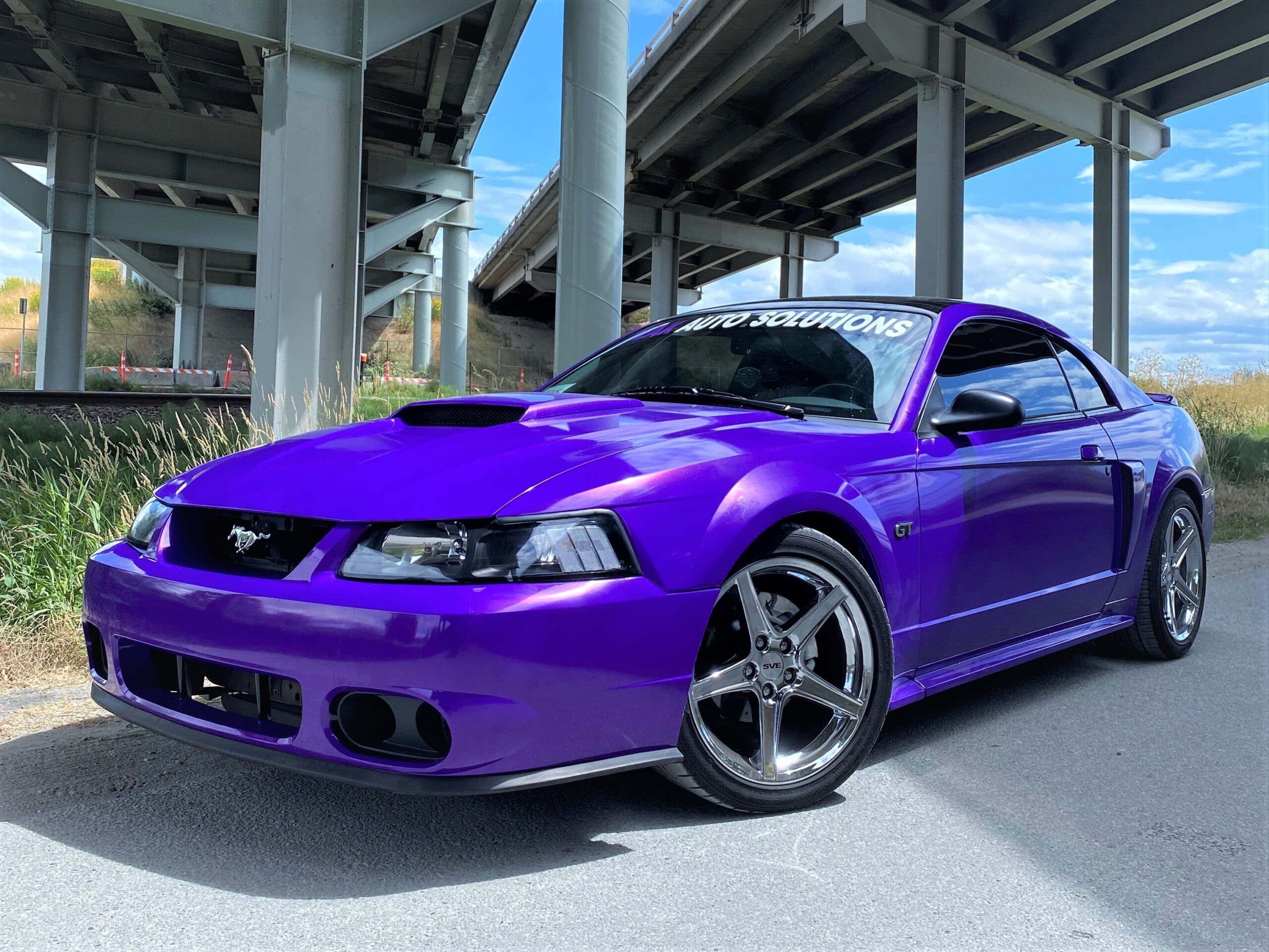 Purple Mustang Peak Auto Solutions